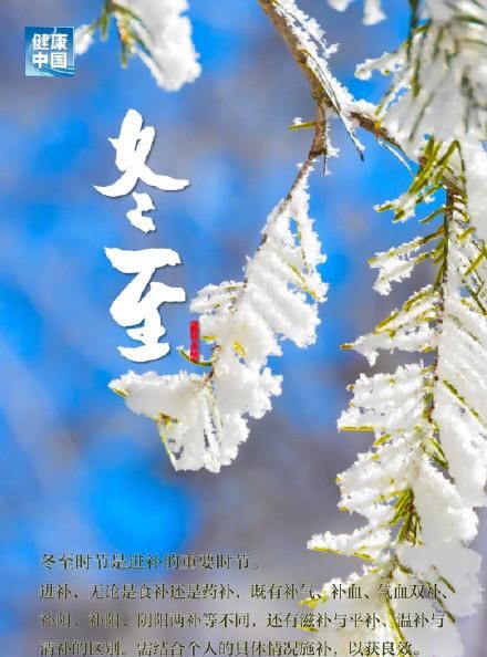 今日冬至，数九寒天，以“暖”为先 食补养生试试当归生姜羊肉汤