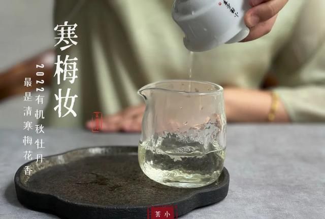 入春后，冷泡茶卷土重来？还有2种奇葩冲泡法，茶艺师看完要哭了