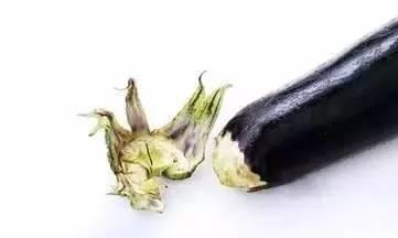 我们随手丢掉“救命药”，再到医院买药吃！一杯茶降掉“三高”！