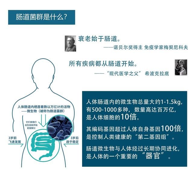 什么样的益生元最好,什么牌子的益生元最好图1