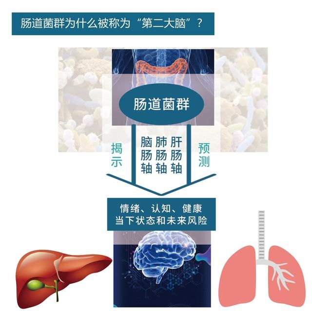 什么样的益生元最好,什么牌子的益生元最好图2