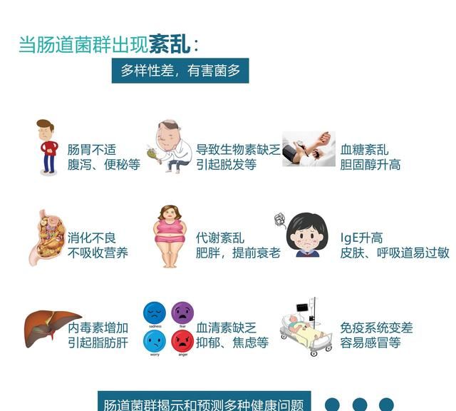 什么样的益生元最好,什么牌子的益生元最好图4