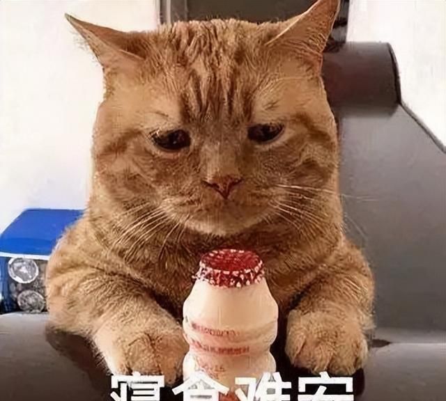10个孕妈9个吐，难道怀孕只能“吐”？3个食谱快试试