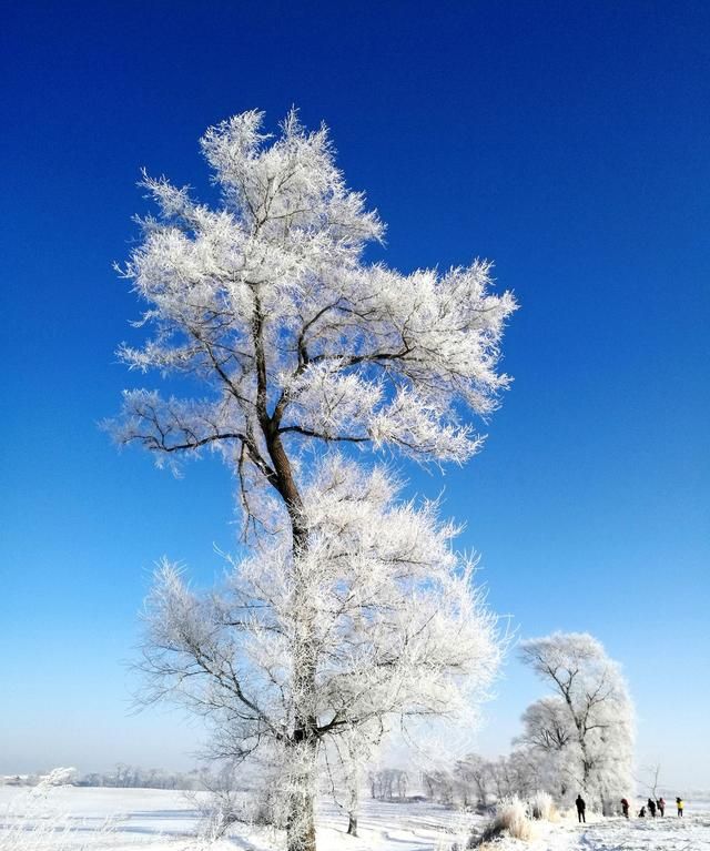大雪｜雪至盛而知寒意