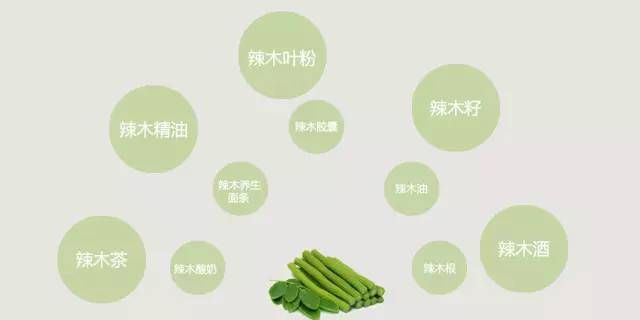 辣木籽究竟有什么功效和副作用图1