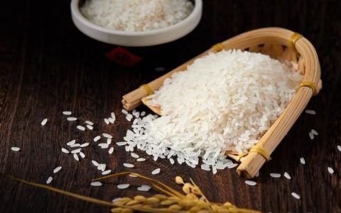 白城有哪些特产,白城特产专卖店