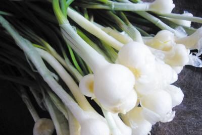 东北田间十大野菜，你认识几种？
