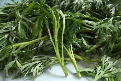 东北田间十大野菜，你认识几种？
