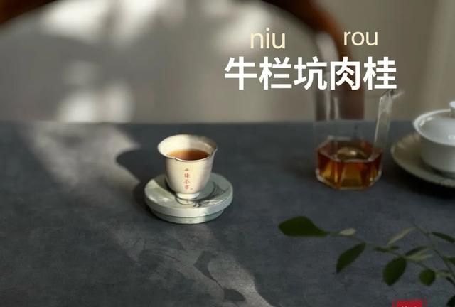 阴、柔、绵、悠，今年的牛栏坑肉桂，深邃清灵似翩翩浊世佳公子