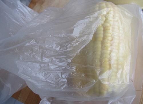 鲜玉米如何保存(怎么保存鲜玉米饵料)图7