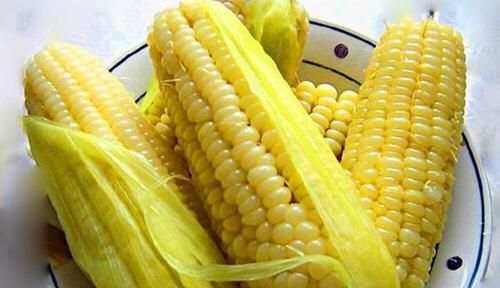 鲜玉米如何保存(怎么保存鲜玉米饵料)图10