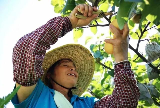 韶关人都爱的这5种美食，上榜国家级名录啦，你都吃过吗？