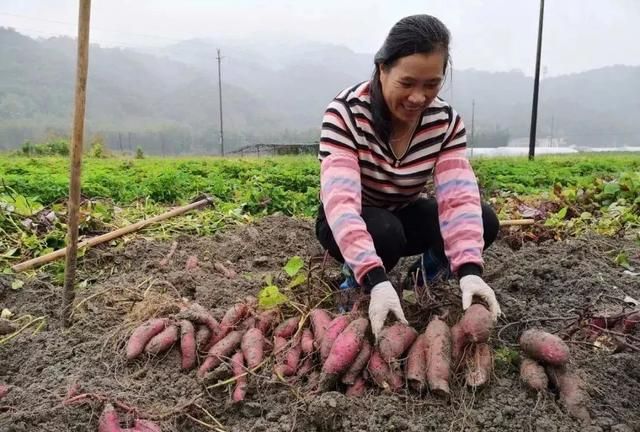 韶关人都爱的这5种美食，上榜国家级名录啦，你都吃过吗？