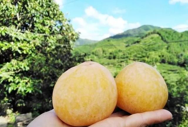 韶关人都爱的这5种美食，上榜国家级名录啦，你都吃过吗？