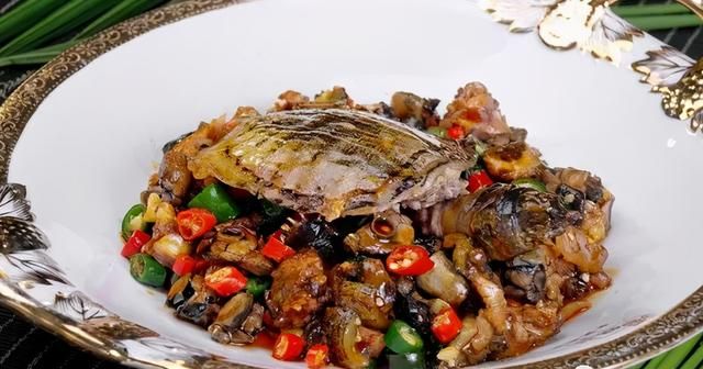 11款甲鱼做法，一桌甲鱼宴，有清淡有重口味，营养丰富，美味诱人