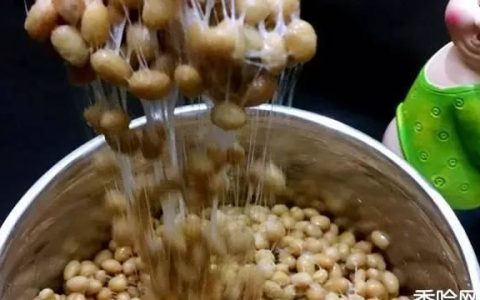 能溶解血栓的纳豆是什么样子