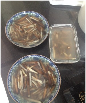 土笋冻怎么做？了解一下