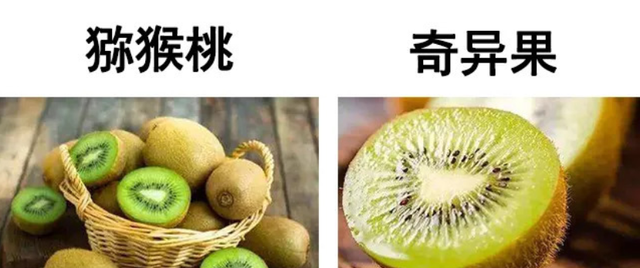 明明长得一个模样，为啥一个叫猕猴桃一个叫奇异果？原来差在这儿