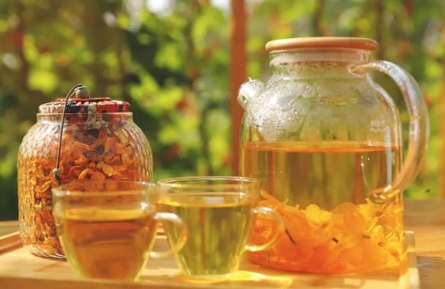 野生金莲花茶 | 去火更快，切勿贪杯