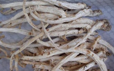 桔梗的功效与作用及禁忌 药膳食疗方法