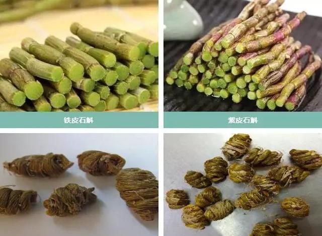 用它榨汁，增强免疫力，抗衰老，功效不小
