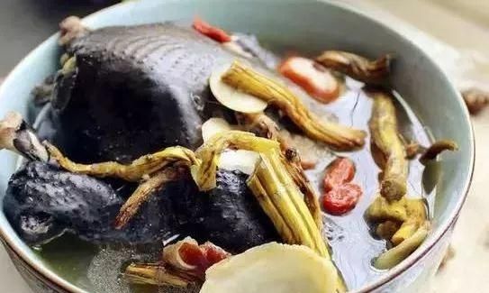 用它榨汁，增强免疫力，抗衰老，功效不小