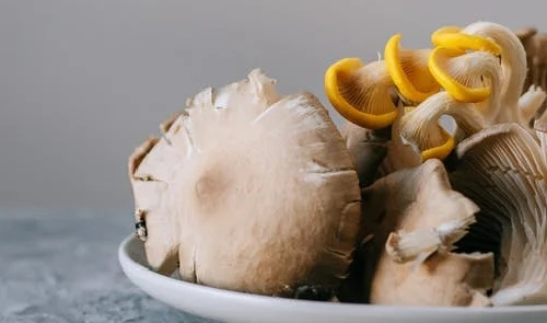 菌菇被列为入“人类最佳饮食结构”，增肌、抗癌、护心脑！这样吃，让你吃出好体魄