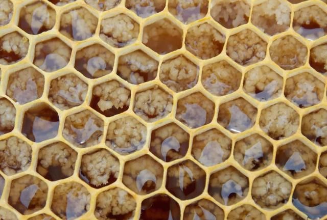 蜂蜜是一种药？但90%的人用错了！
