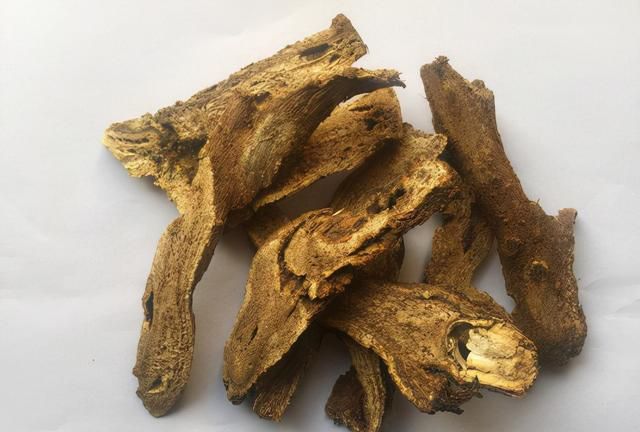 每日一中药——木香