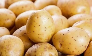 红烧土豆怎样做才更入味？不如试试这个方法，简单营养又美味