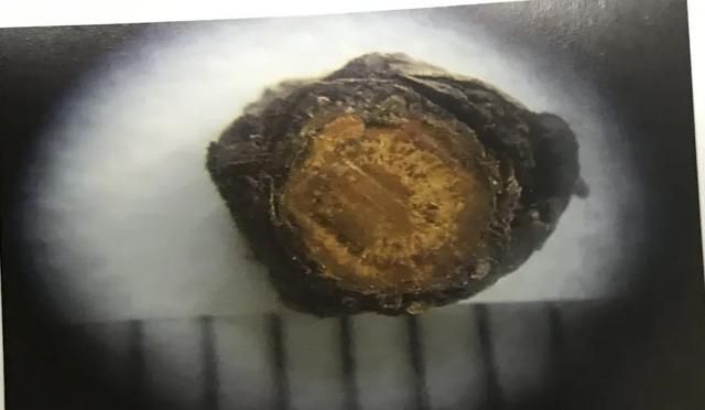 苦到让人说不出话的黄连，来看看它的药用价值！