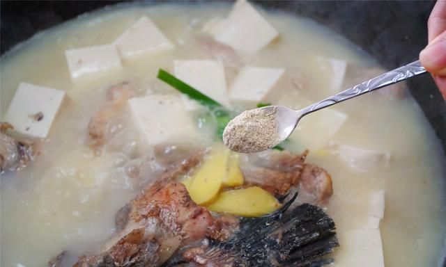 煮鱼汤时，加水时间很重要，这样做汤又白又鲜，还没腥味