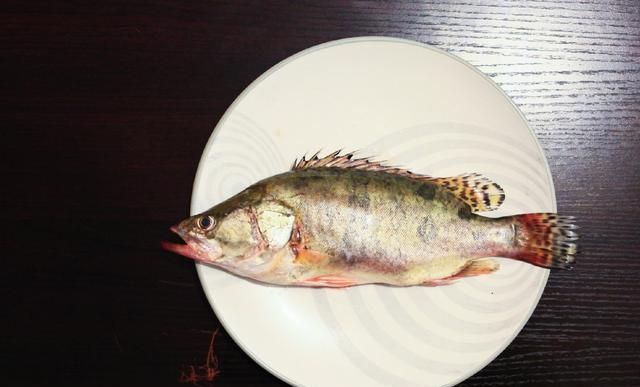 鳜鱼怎么做好吃呢?(鳜鱼有几种做法)图12