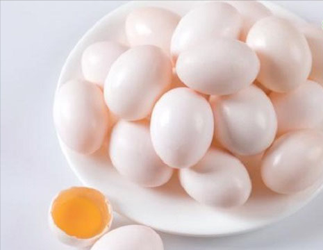 鸽子蛋要怎么吃？鸽子蛋和鹌鹑蛋有什么区别？