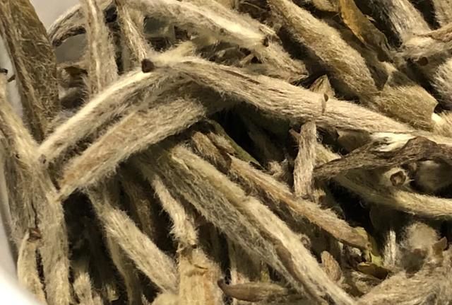 福鼎白茶的等级和功效