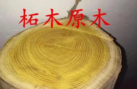 巴花为什么叫帝王木图2
