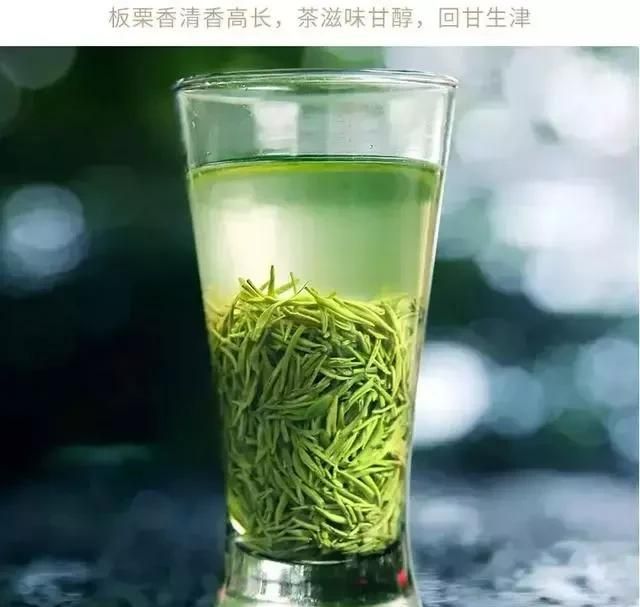 信阳毛尖的冲泡要诀：高温快出、浅茶满酒、泉水为佳