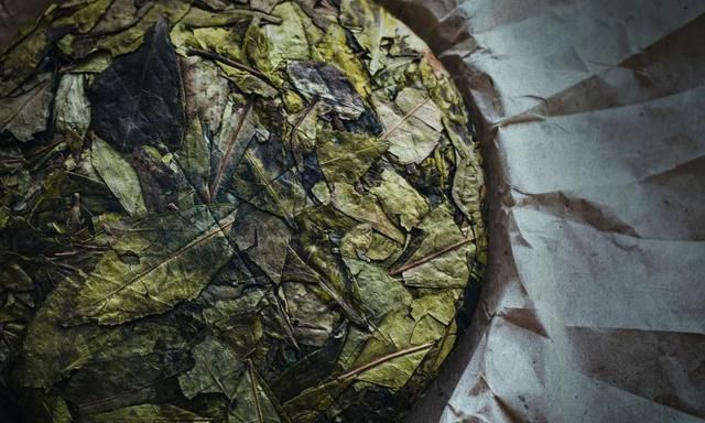 老枞白茶的特点与功效