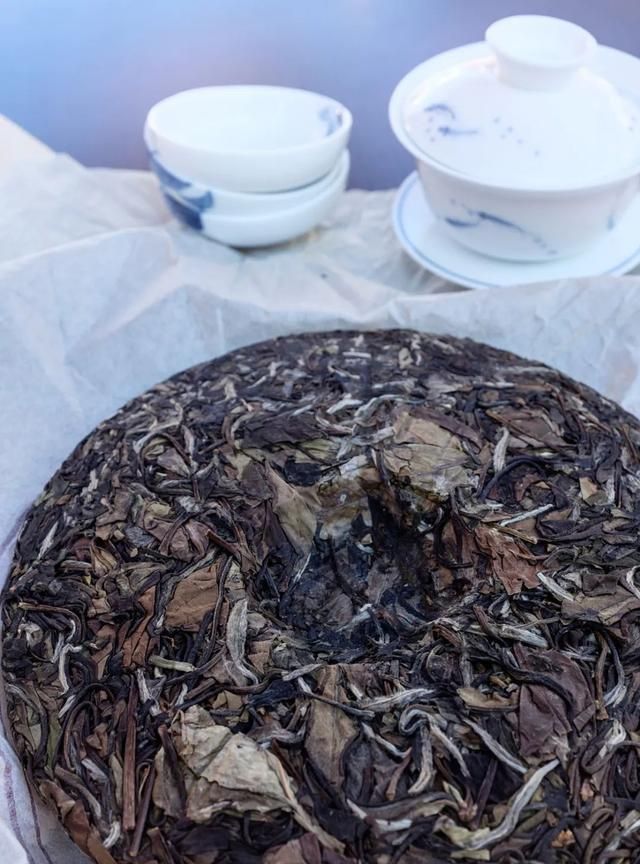 老枞白茶的特点与功效