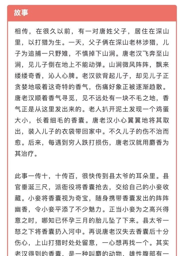 麝香的妙用
