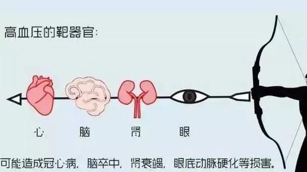 高血压可以直接吃降压药吗,老人高血压可以直接吃降压药吗图4