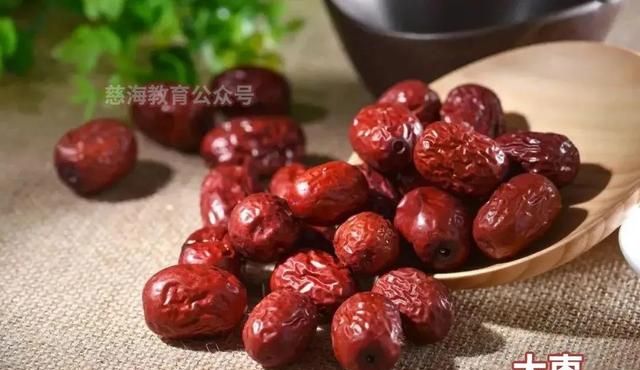 每天学习一味中药——大枣