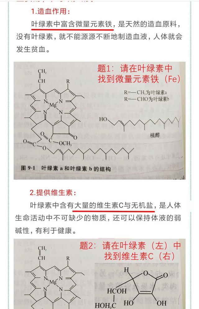 为什么叶绿素那么强大没有保健品图2