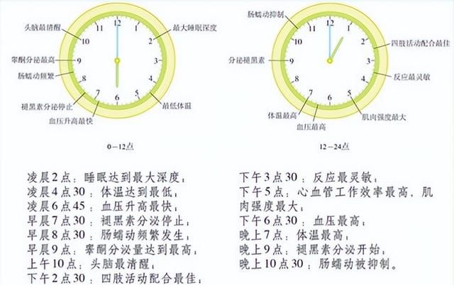 阳过后出现这些皮疹？需引起重视！教你几招加速康复