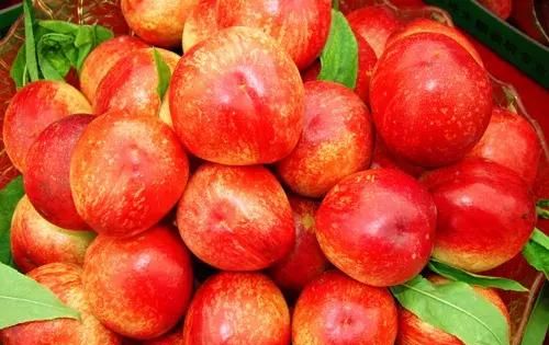 油桃有哪些营养价值和功效？油桃和毛桃有什么区别？