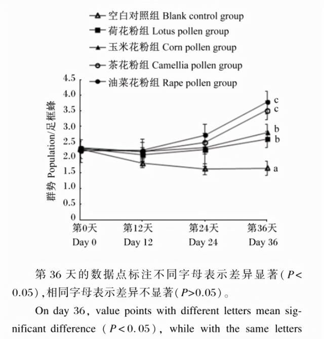 蜜蜂养殖，什么花粉繁蜂好？都说茶花粉比油菜花粉好，真是这样吗