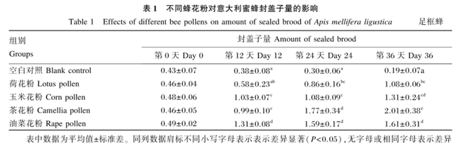 蜜蜂养殖，什么花粉繁蜂好？都说茶花粉比油菜花粉好，真是这样吗