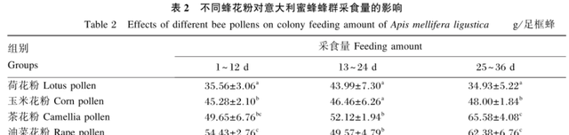 蜜蜂养殖，什么花粉繁蜂好？都说茶花粉比油菜花粉好，真是这样吗