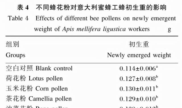 蜜蜂养殖，什么花粉繁蜂好？都说茶花粉比油菜花粉好，真是这样吗