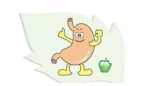 立秋后，送您四大名补之一：芡实